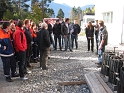 bild (80)